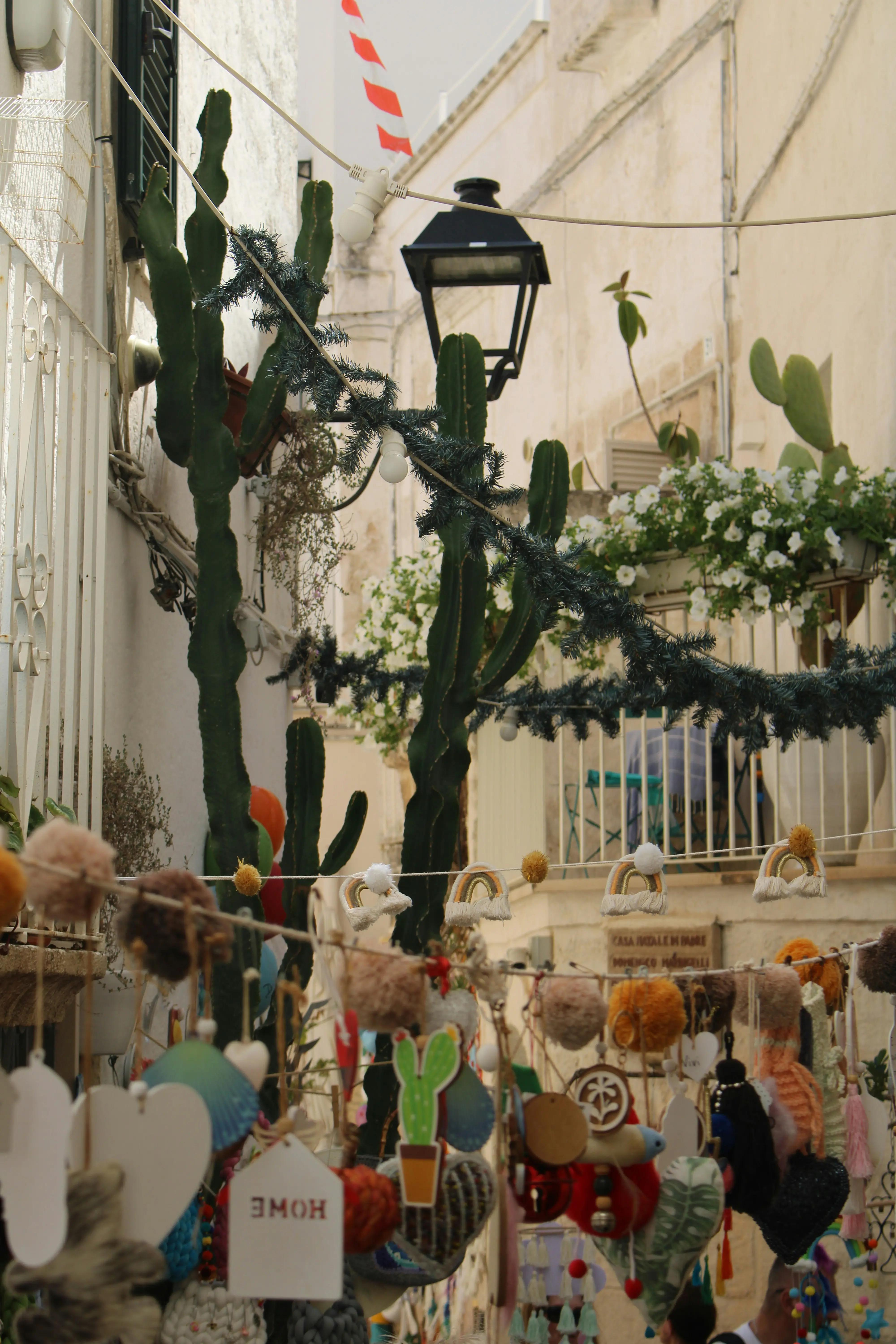 Cacti and festive decorations adorn a narrow street